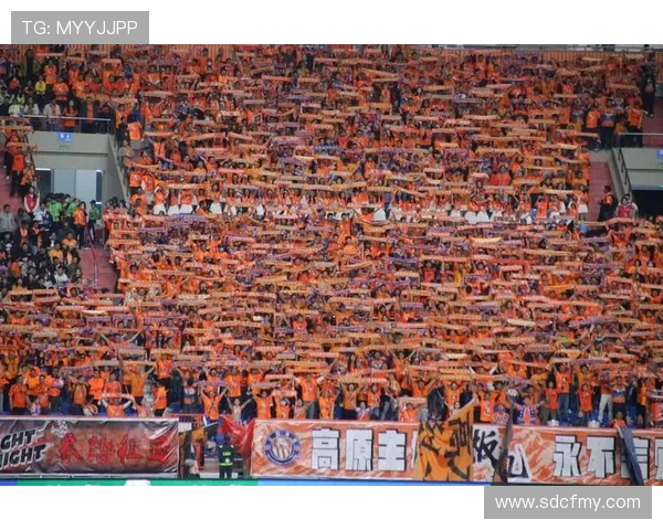 中超球迷文化持续升温：激情与团结展现球场独特风景线