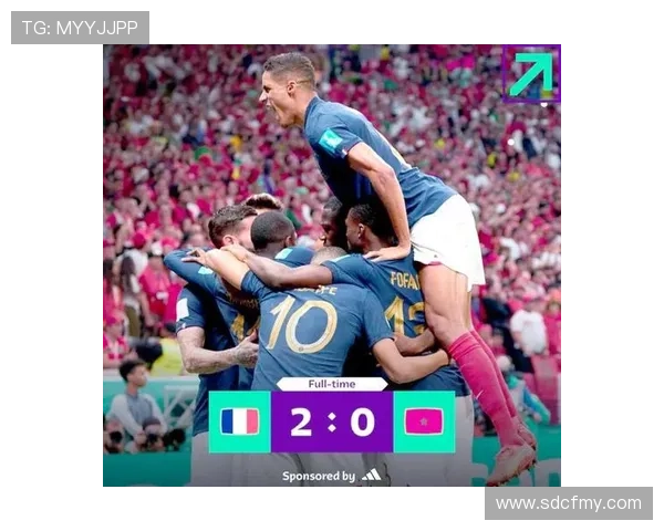 法国国家队在世界杯卫冕之路中的表现分析及前景展望