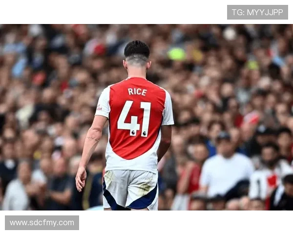 赖斯职业生涯亮点 赖斯职业生涯亮点