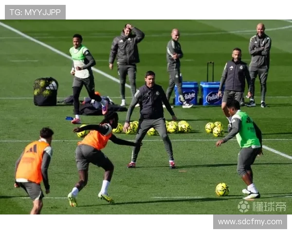 楚阿梅尼防守站位 楚阿梅尼防守站位